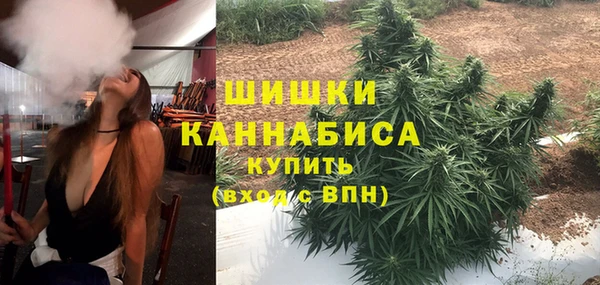 2c-b Белокуриха