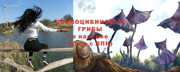2c-b Белоозёрский