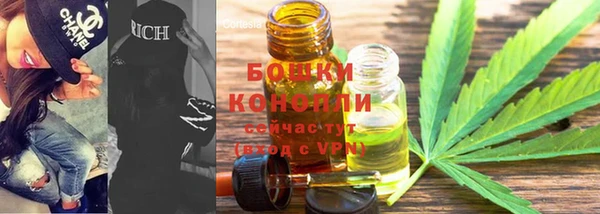 2c-b Белокуриха